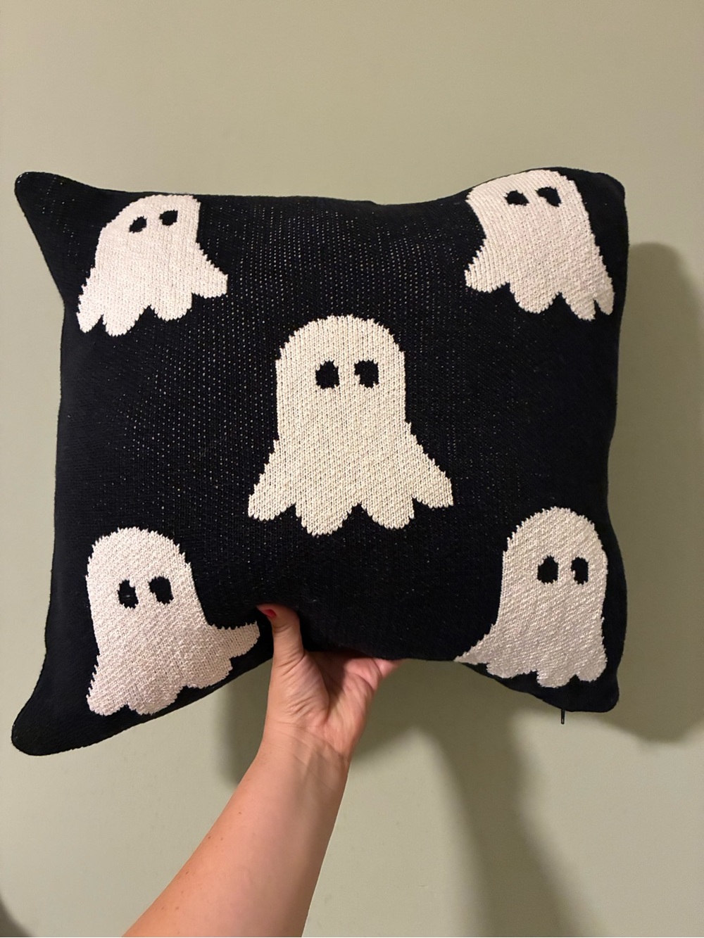 Rachel Zoe Black Knit Pillow with White Ghost Motif